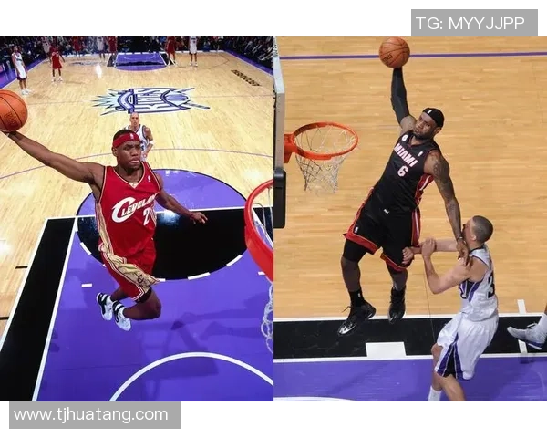 悉尼国王与野猫的激烈对决谁将赢得这场篮球盛宴