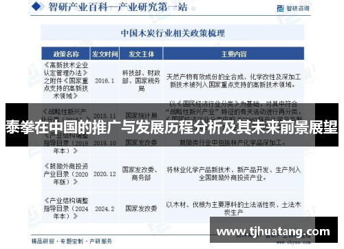 泰拳在中国的推广与发展历程分析及其未来前景展望