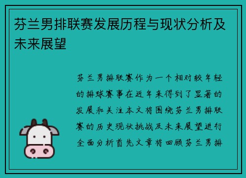 芬兰男排联赛发展历程与现状分析及未来展望