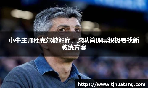小牛主帅杜克尔被解雇，球队管理层积极寻找新教练方案