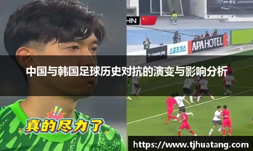 TVT体育新版本